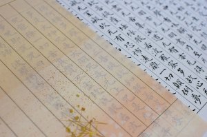 画像4: 夕桐写経用紙NO.3　色付き (4)